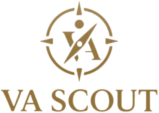 VA Scout